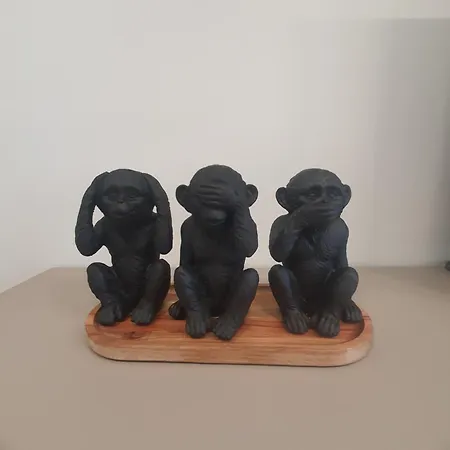 Divalla 부르가스